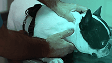 Genel Sağlık Kontrolü